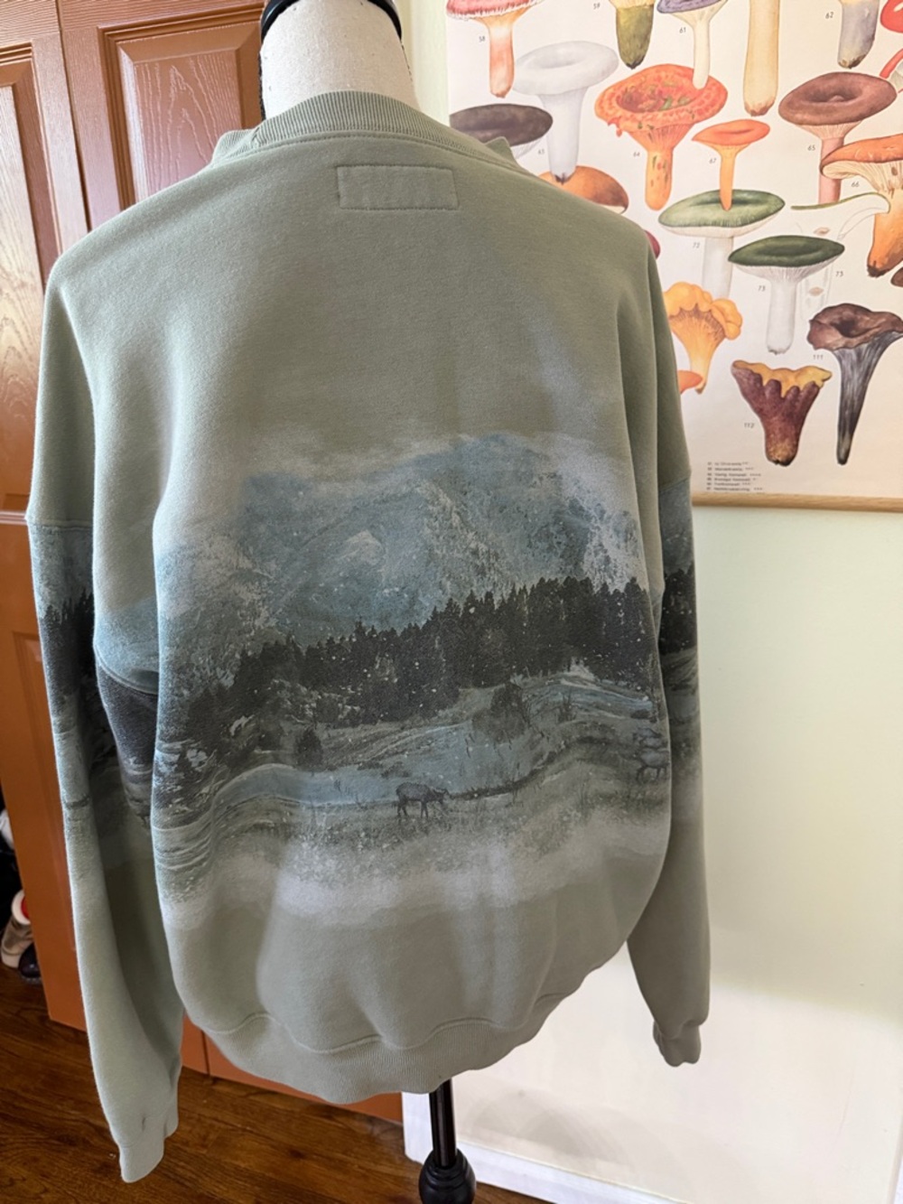 Abercrombie & Fitch Sage Green Graphic Crewneck Sweatshirt - Picture 5 of 6